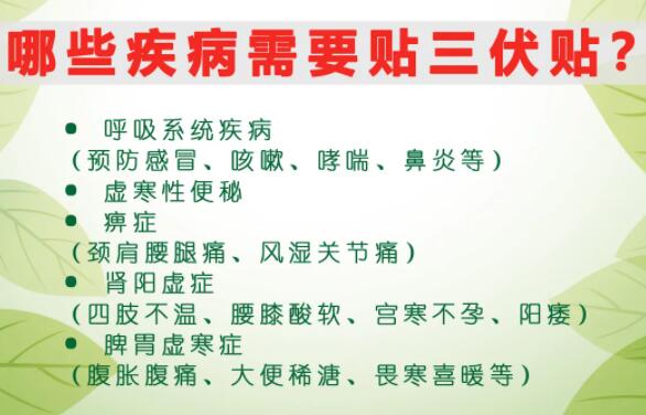 2、什么是三伏貼？三伏貼的作用？