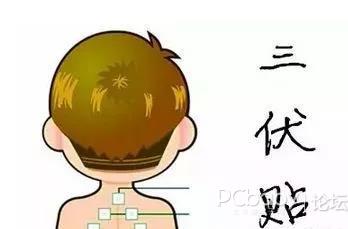 1、三伏貼有用嗎？效果好嗎？