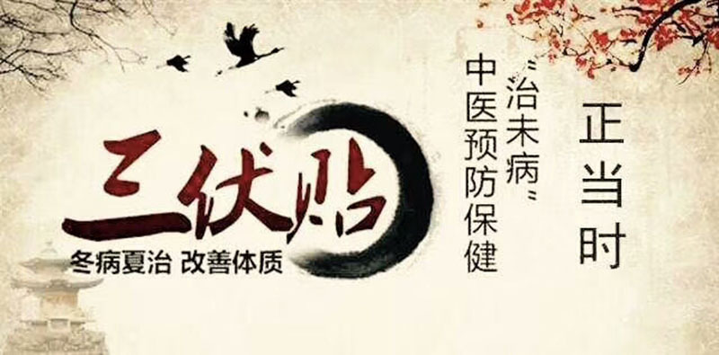 2、三伏貼貼在哪里？