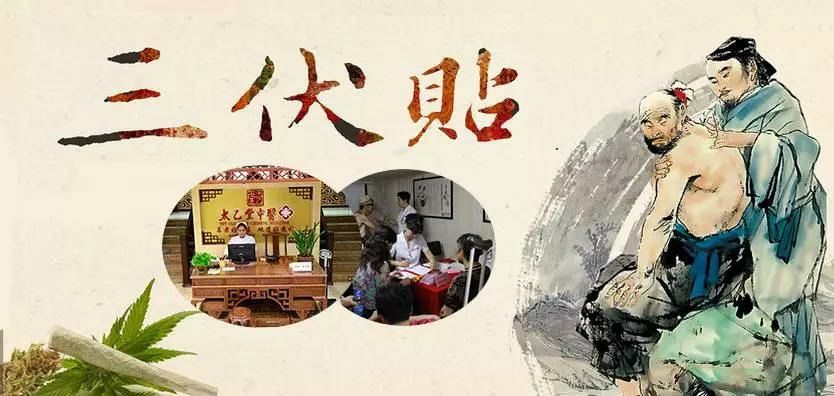 2、什么是三伏貼？三伏貼的作用？